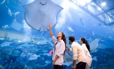 Dubai Aquarium and Underwater Zoo