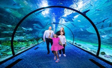 The National Aquarium Abu Dhabi